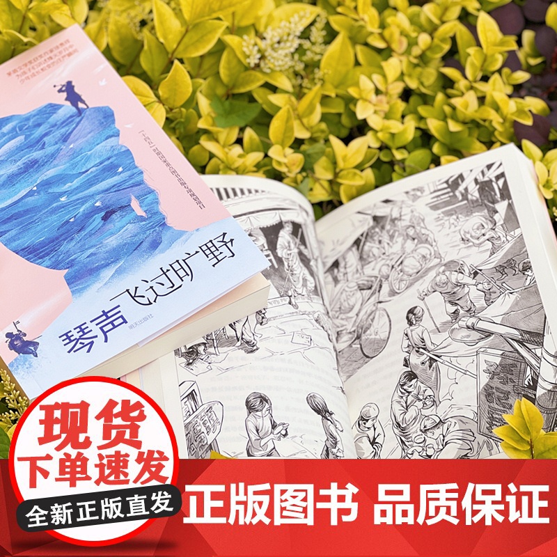 琴声飞过旷野 徐贵祥著 青少年成长励志爱国教育红色经典儿童文学故事书三四五六年级小学生阅读课外书必读老师读物明天出版社高清大图