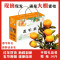 [五个农民]正宗涌泉蜜桔 孟平洞无核橘子临海蜜桔净重10斤中果薄皮 当季应季水果生鲜 产地直发