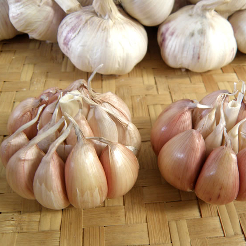 金乡 新鲜干蒜紫皮多瓣大蒜头 2.5kg