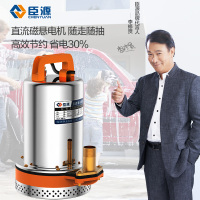 新款臣源直流潜水泵小型12V24V48V60伏 电动车电瓶水泵车高扬程抽水泵顶尚威廉