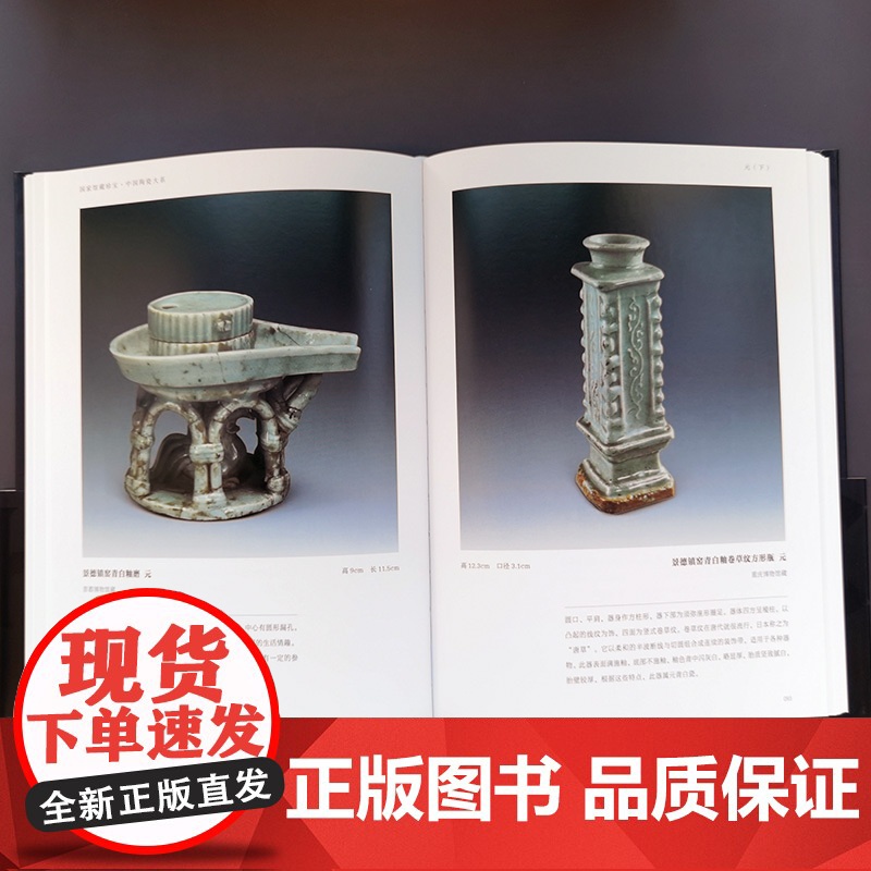 [正版书籍]国家馆藏珍宝·中国陶瓷大系 元代(上、下)高清大图