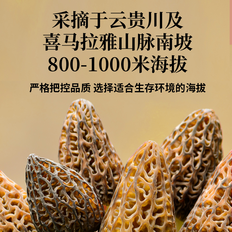 菌迹羊肚菌干品野生级礼品盒天然野生原始菌香纯手工采摘烘干煲汤红烧 40g礼盒装高清大图