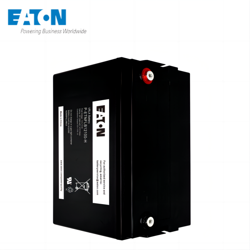 伊顿蓄电池P-ETNFLB12100-H高清大图