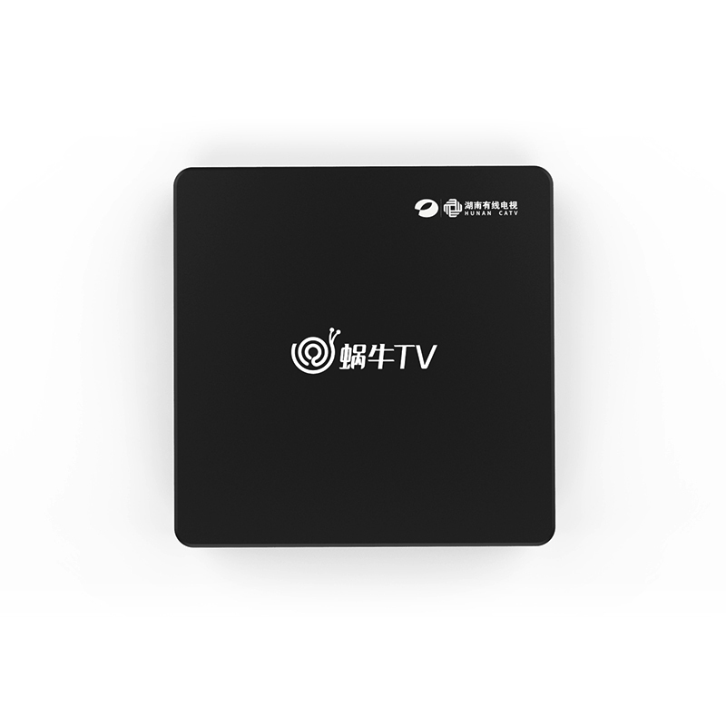 蜗牛TV盒子(蜗牛TV会员 1年-IP版)