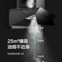 优盟（UM）油烟机家用 大吸力侧吸式抽油烟机 欧式顶吸式抽油烟机自动清洗 官方正品 一级能效UC259F