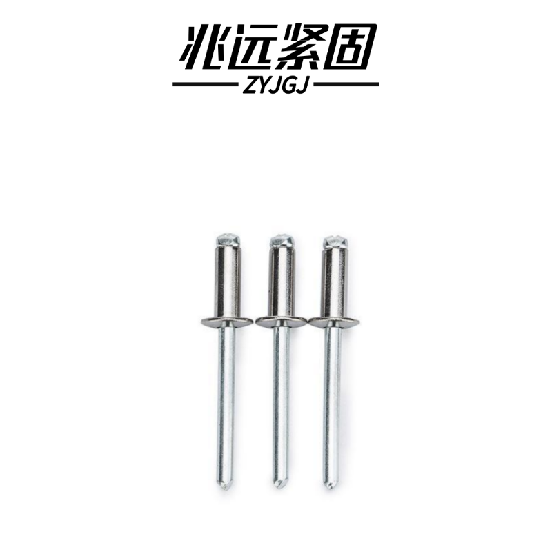兆远紧固 不锈钢抽芯铆钉拉铆钉(个)(4*20)高清大图