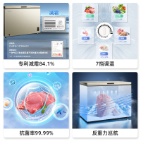 美菱(MELNG)300升大冰柜减霜家用小型商用大容量冷藏冷冻两用卧式冷柜一级能效BC/BD-300DTX