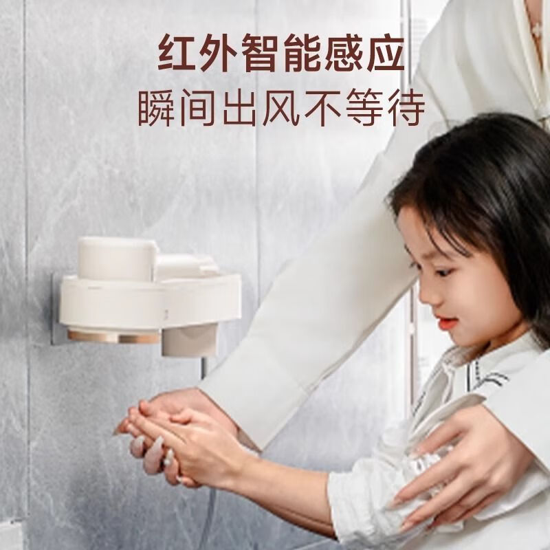 夏普智能吹风机IB-SP36C-C高清大图