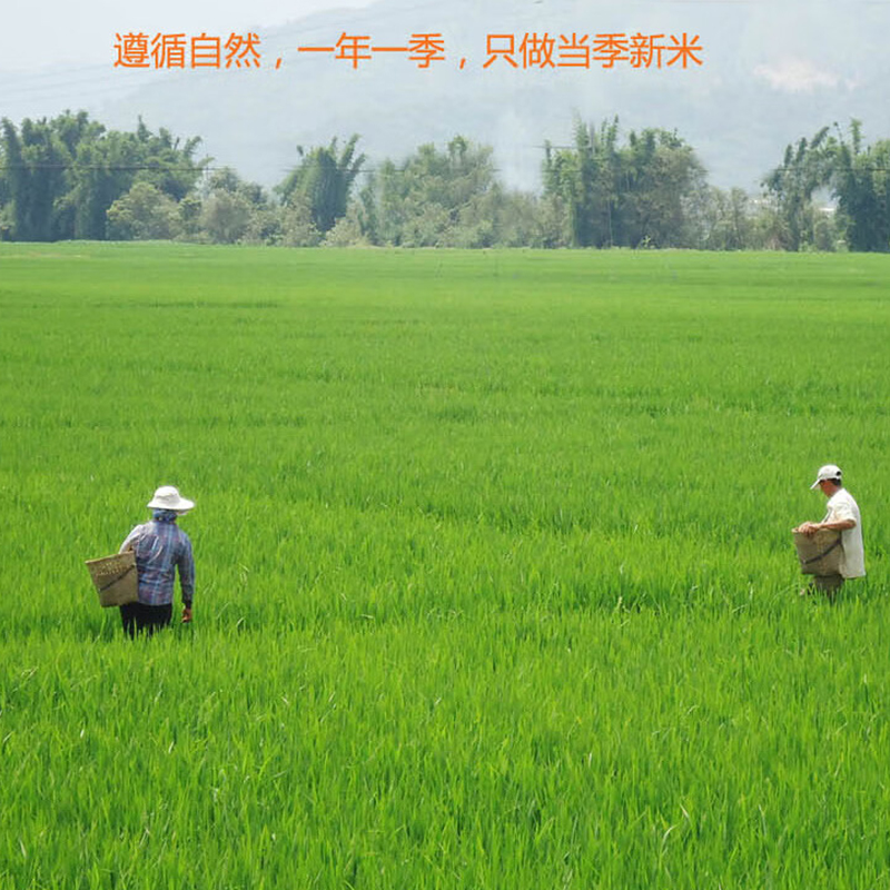 米妹妹(MIMEIMEI) 五常糯米 1kg(2袋起订)高清大图