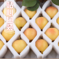 [中华特色]营口馆 南国梨鞍山南果梨 应季新鲜梨子水果 东北
