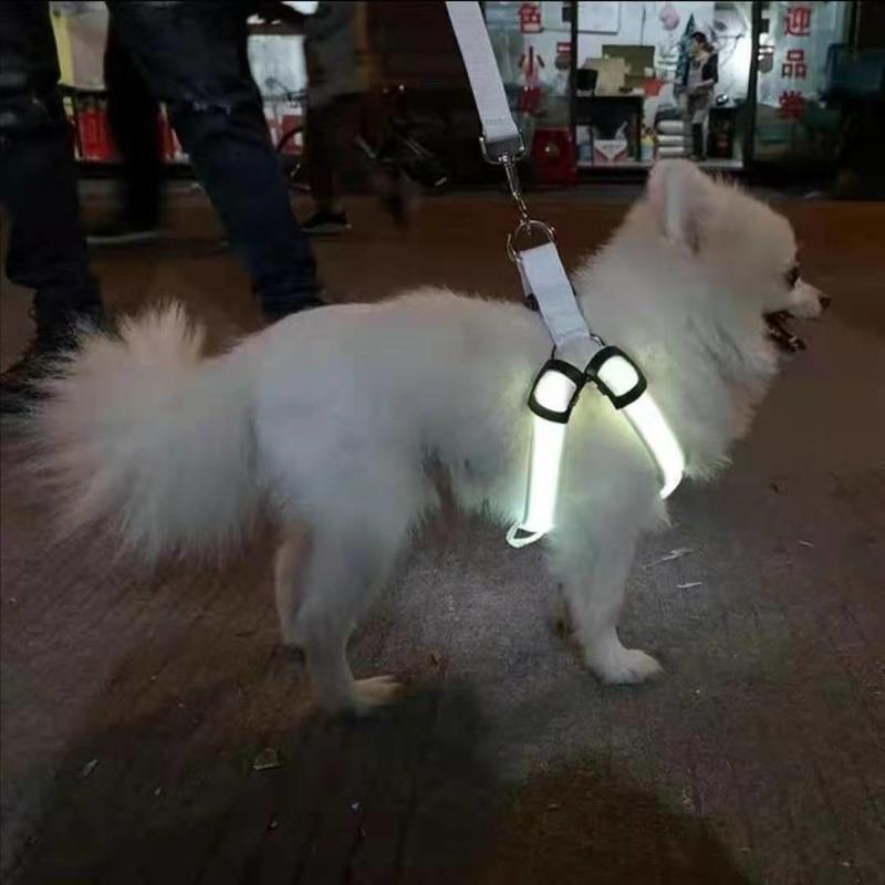 狗狗牵引绳背心式LED发光胸背泰迪牵引绳宠物夜光狗绳小型USB充电 红色-胸背带+不发光牵引绳 电池-S码(斤数:5-8