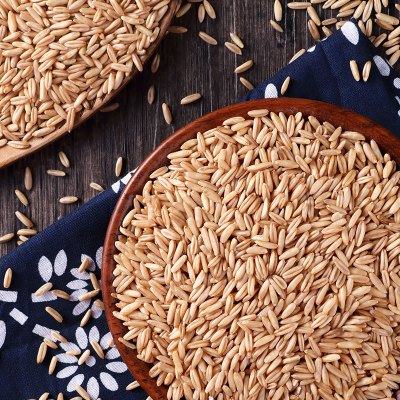 精选燕麦米健康粗粮500g*2两斤袋装燕麦米