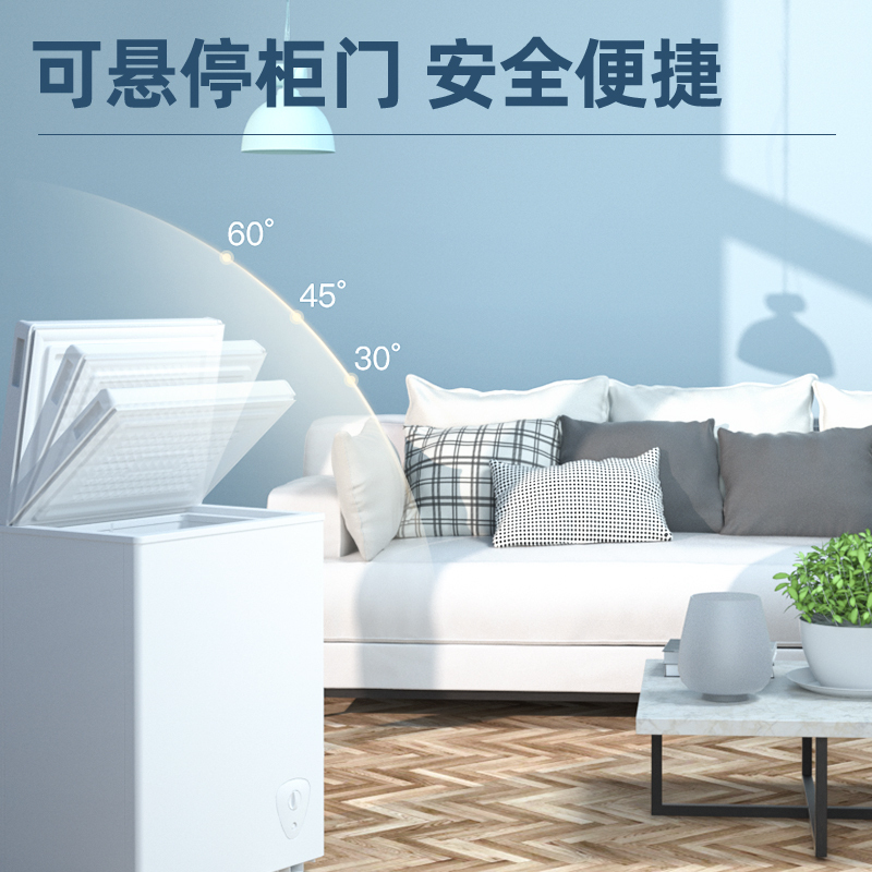 夏新48升冰柜一级能效小型家用冰箱冷柜冷藏迷你保鲜冷冻两用