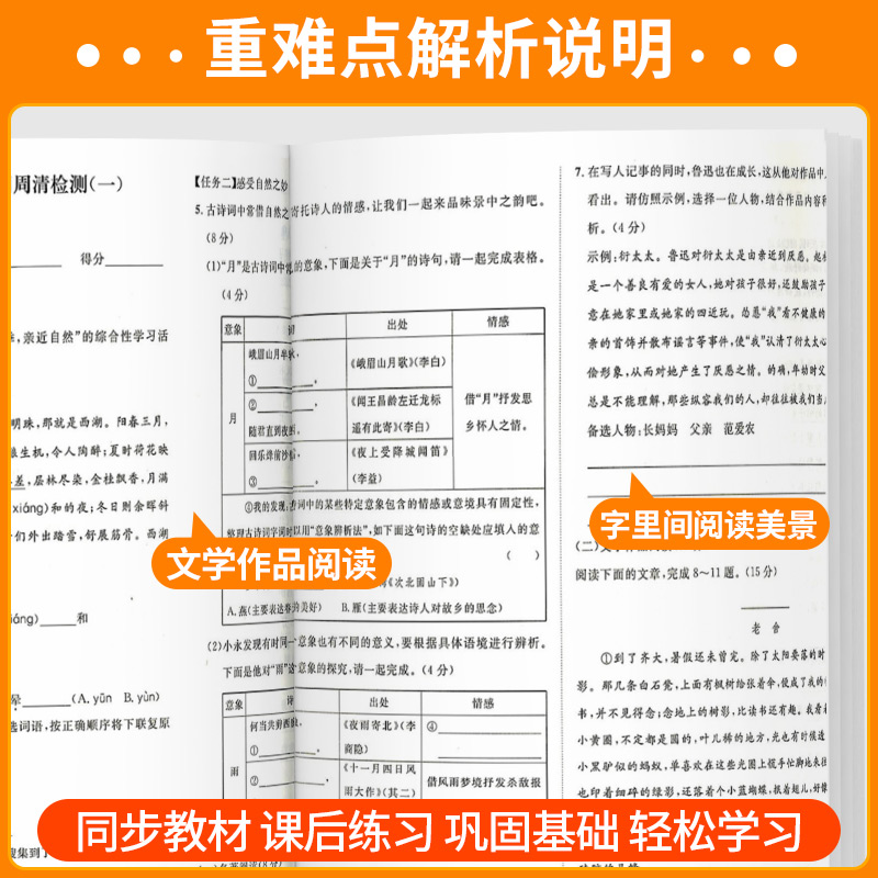 [8本语数英科]周周清检测+5年中考3年模拟 七年级上 [正版]周周清检测七年级八年级九年级上册下册语文数学英语科学初一高清大图