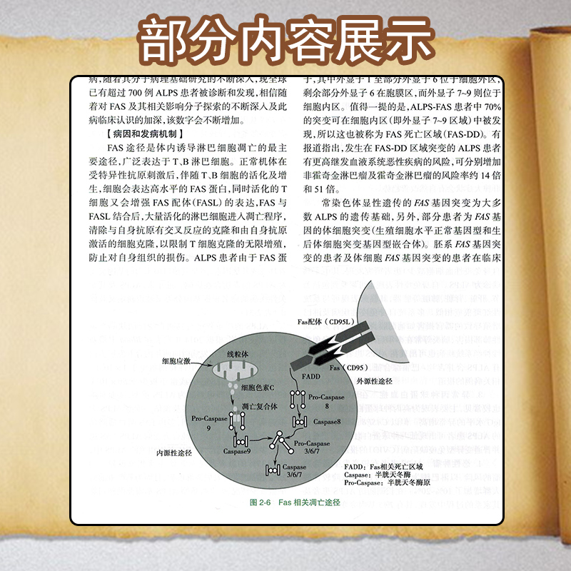 [正版] 儿童免疫学 第二2版 主编赵晓东 人民卫生出版社9787117330022高清大图