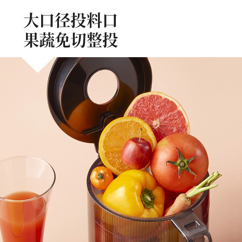惠人 (HUROM)原汁机无网韩国进口多功能大口径家用低速榨汁机H-201-BIA04(WH) 白色