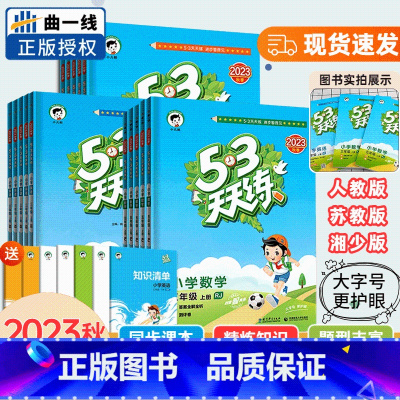 语文+数学人教版套装2本 四年级上 [正版]湖南2023秋季53天天练一二年级上三年级四五六年级上册语文数学英语人教苏教