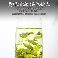 2025新茶广西横县茉莉花茶叶雪螺小龙珠花茶叶绿茶香碧螺500g
