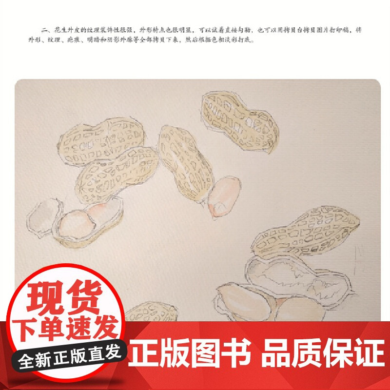 轻水彩生活书系——一日三餐·根之味