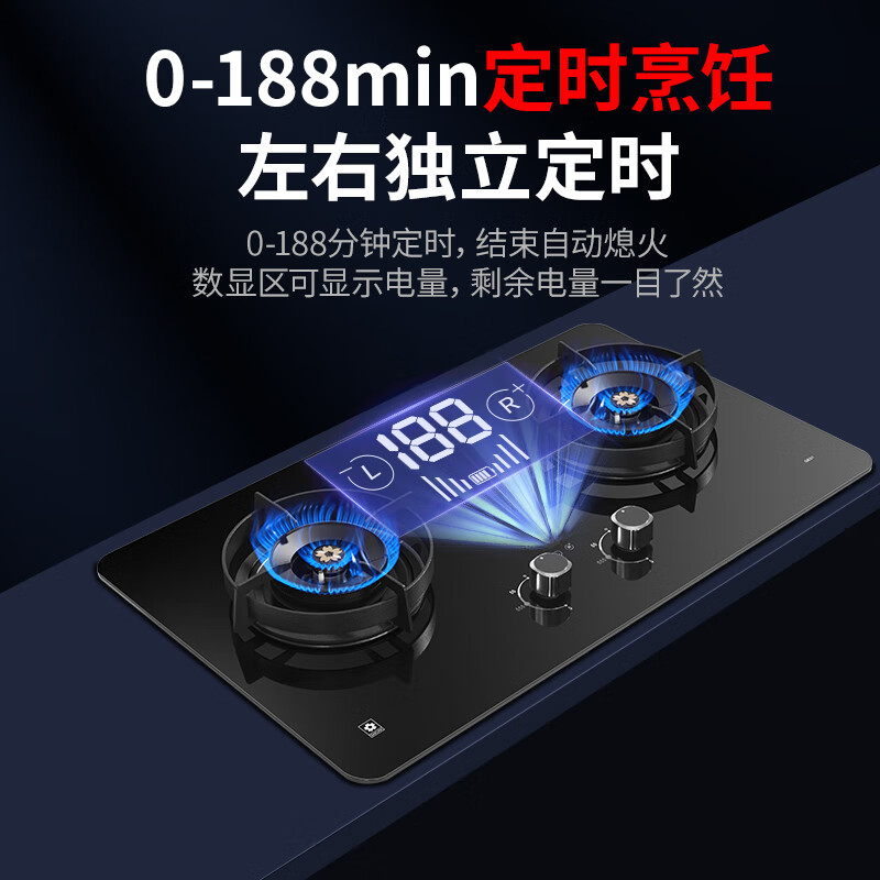 樱花JZY-GE01燃气灶双灶家用 天然气灶双灶具 5.0kW家用猛火灶双灶独立定时兼容多尺寸 台嵌两用(液化气)