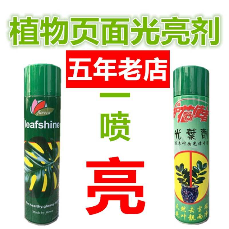 财树绿萝金钱树花卉植物可利鲜叶面光亮剂亮叶光亮防尘营养液