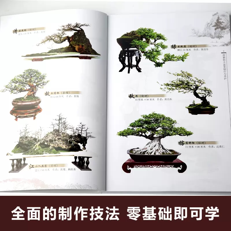 [醉染正版][书图解树木盆景制作与养护 盆景书籍养花图书大全树木盆景造型设计书栽培技术入门教程中小型花卉盆景制作书籍高清大图