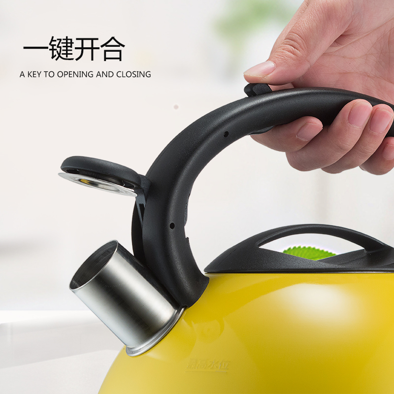 爱仕达ASD 304不锈钢防尘烧水壶 HS04T1WG-R 自动鸣音水壶 热水壶4000ML容量