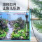 鱼缸加热棒水族箱加热器小型龟缸加温棒加温器不锈钢防爆自动恒温