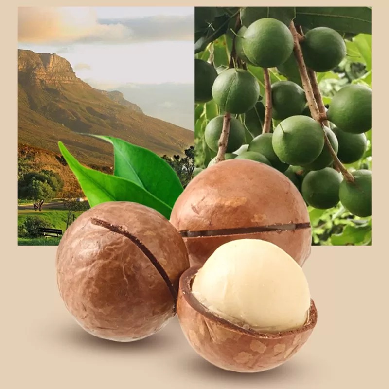 新全新夏威夷果150克/袋高清大图