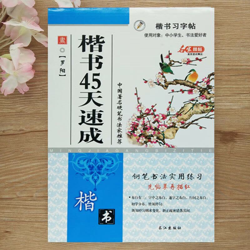 中小学生字帖初学者练习钢笔字字帖练字板楷书45天速成练字帖图片
