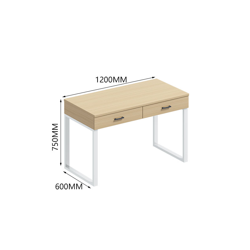 臻远ZY-GYJJ39 公寓套房家具 办公桌学习桌电脑桌1.2米写字台高清大图