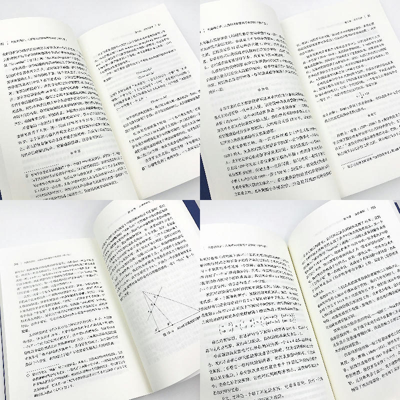 [正版]代数的历史 人类对未知量的不舍追踪 修订版 代数学历史虚实探 代数学科普读物 美国数学学会读物 线性代数高清大图