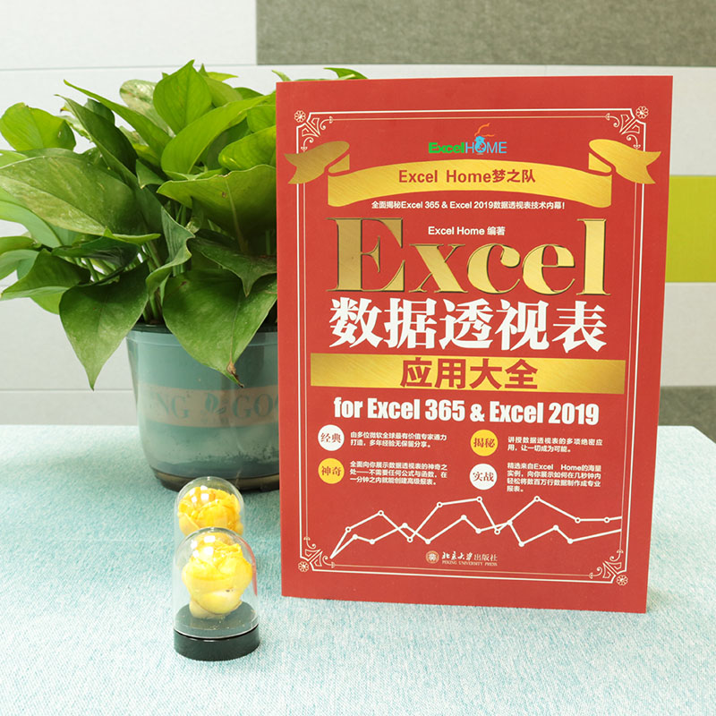 [正版]Excel数据透视表应用大全 for Excel 365 & Excel 2019 Excel Home Ex高清大图