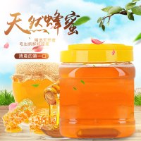 【中华特色】江华馆 野生纯蜂蜜500g装