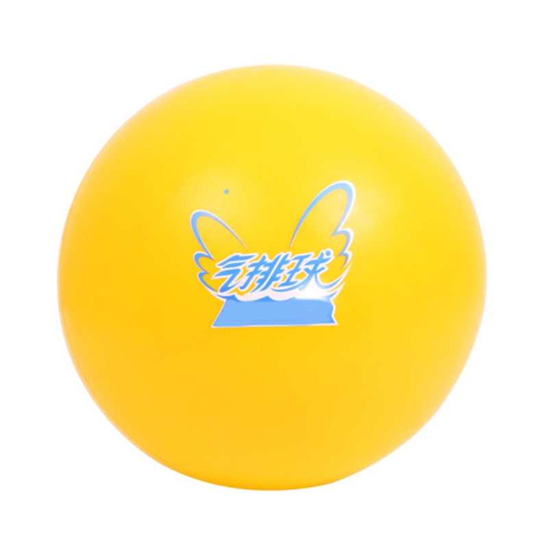 schoolchild小学生气排球儿童中考排球标准练习充气软式气排球超轻