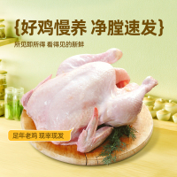 [苏鲜生推荐]雀淘 正宗皖南黄油老母鸡2-2.3斤/只 3只装 新鲜现杀整鸡净膛冷冻竹林慢养走地鸡