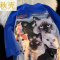 秋壳美式复古潮流猫咪印花短袖T恤女2022夏季休闲创意百搭上衣潮