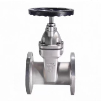 般德 不锈钢软密封闸阀 DN100 台