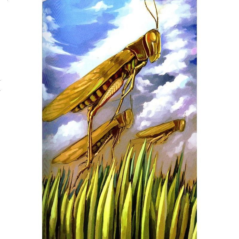 云阅读名著昆虫记中学生课外系列经典名著全新编译名家导读版非注音版彩图插画儿童文学名著云睿报价 参数 图片 视频 怎么样 问答 苏宁易购
