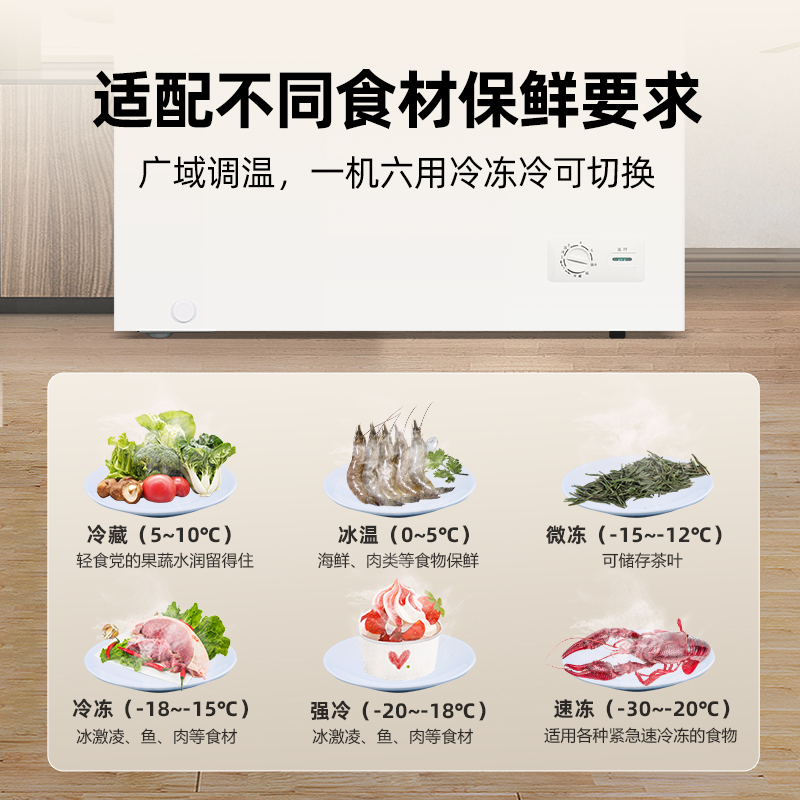 星星(XINGX)200升商用家用单温单箱低霜冰柜 冷藏冷冻转换冷柜 顶开门冰箱 断电保护BD/BC-200E高清大图