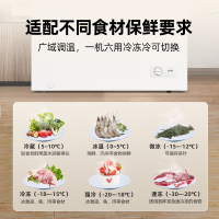 星星(XINGX)200升商用家用单温单箱低霜冰柜 冷藏冷冻转换冷柜 顶开门冰箱 断电保护BD/BC-200E
