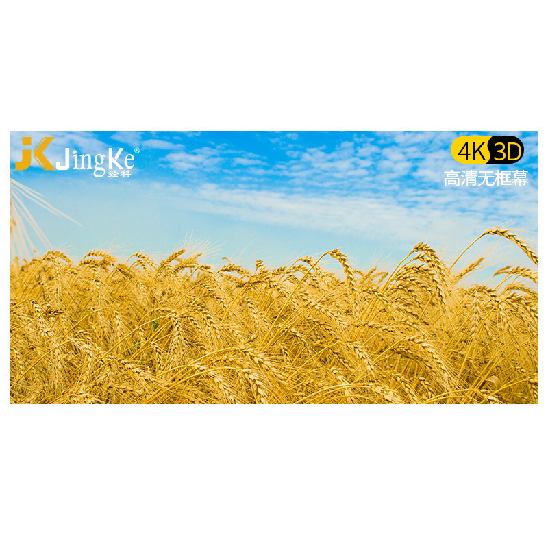 经科JK画框幕布投影幕投影机投影仪无边框G-W100软幕133寸16:10高清大图