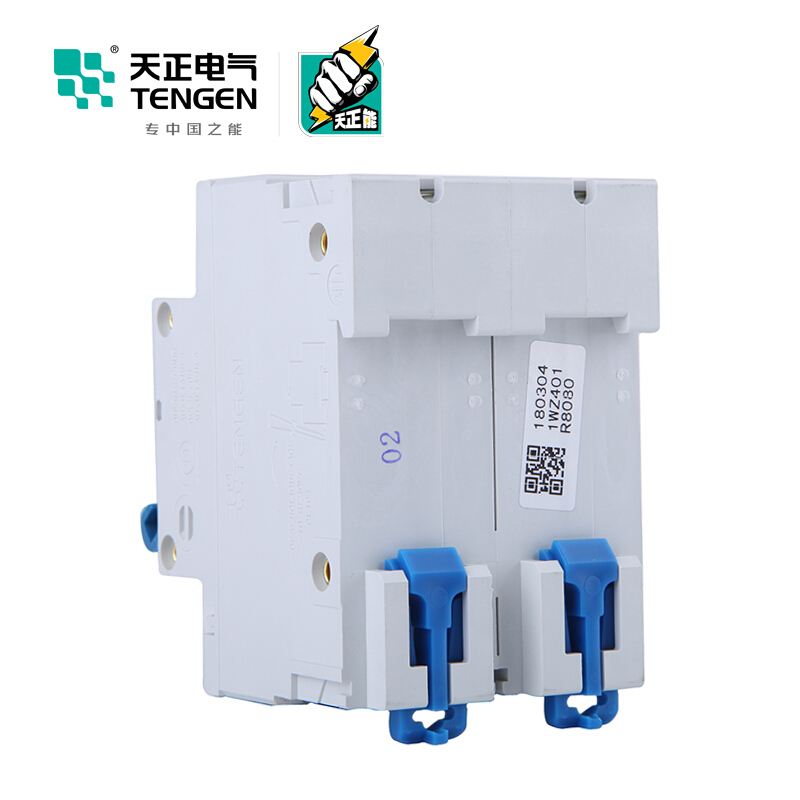天正电气 空气开关 DZ47-125 2P C80A 6KA 01060020006 微型断路器
