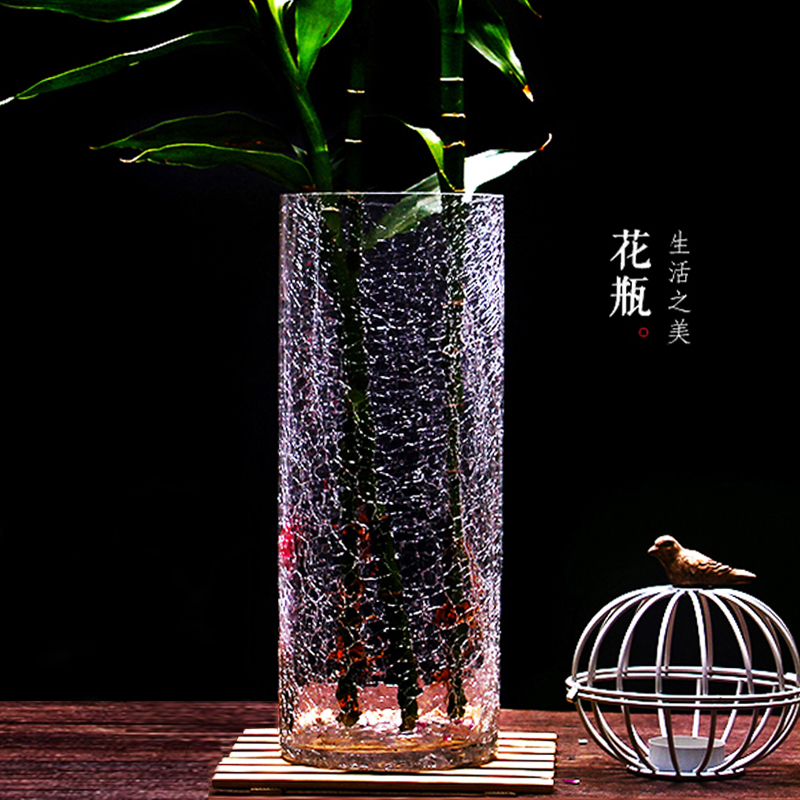 鱼丸花瓶 花艺养竹子花瓶玻璃透明富贵竹转运竹水竹大号40cm高碎冰裂纹冰裂家用 价格图片品牌报价 苏宁易购优际日用专营店