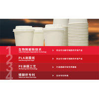 一次性双层白纸杯 50个/包 Sinotong