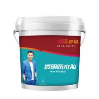 雅森(Ya sen) 透明防水胶防水涂料 地板砖防水材料 5KG