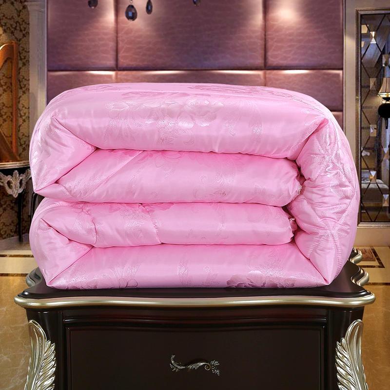 夏凉被双人被子春秋被冬被宿舍被芯10斤蚕丝棉被单双人冬被加厚