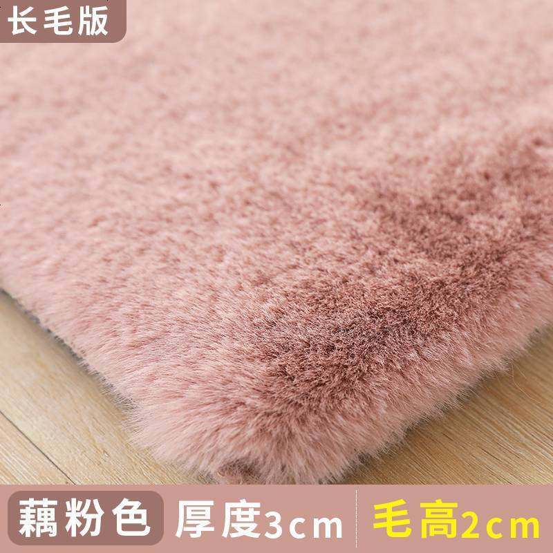 卧室地毯床边毯满铺房间脚垫飘窗窗台垫子加厚床前毛绒小地毯可爱