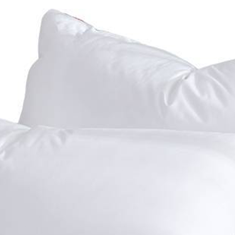 广顺泰 枕芯 E-408 个高清大图