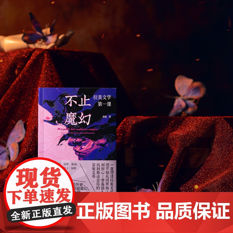 不止魔幻:拉美文学第一课 北贝 野望 侯健/著 马尔克斯 略萨 波拉尼奥 博尔赫斯 拉美文学 西班牙 广西师范大学出高清大图